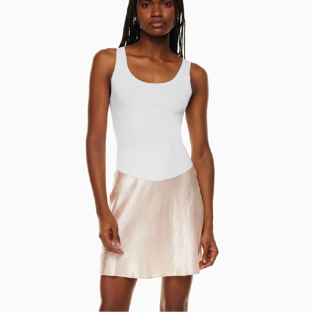 Aritzia Babaton Slip Mini Skirt